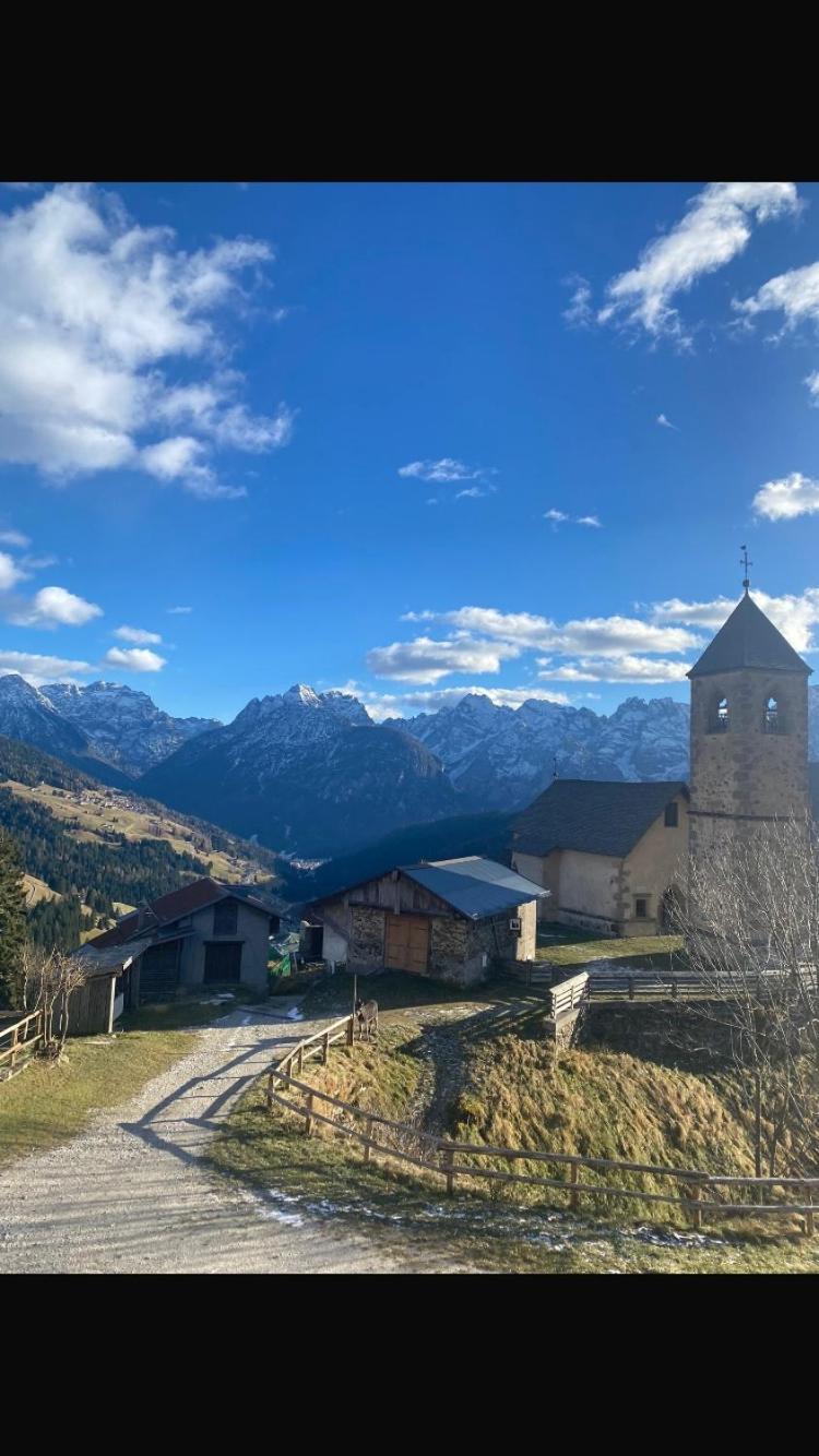 Monica Lägenhet Santo Stefano Di Cadore Exteriör bild