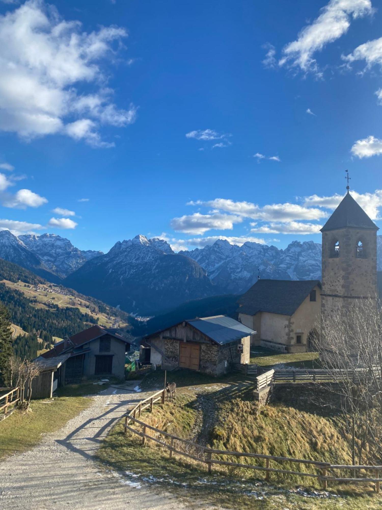 Casa Monica Lägenhet Santo Stefano Di Cadore Exteriör bild